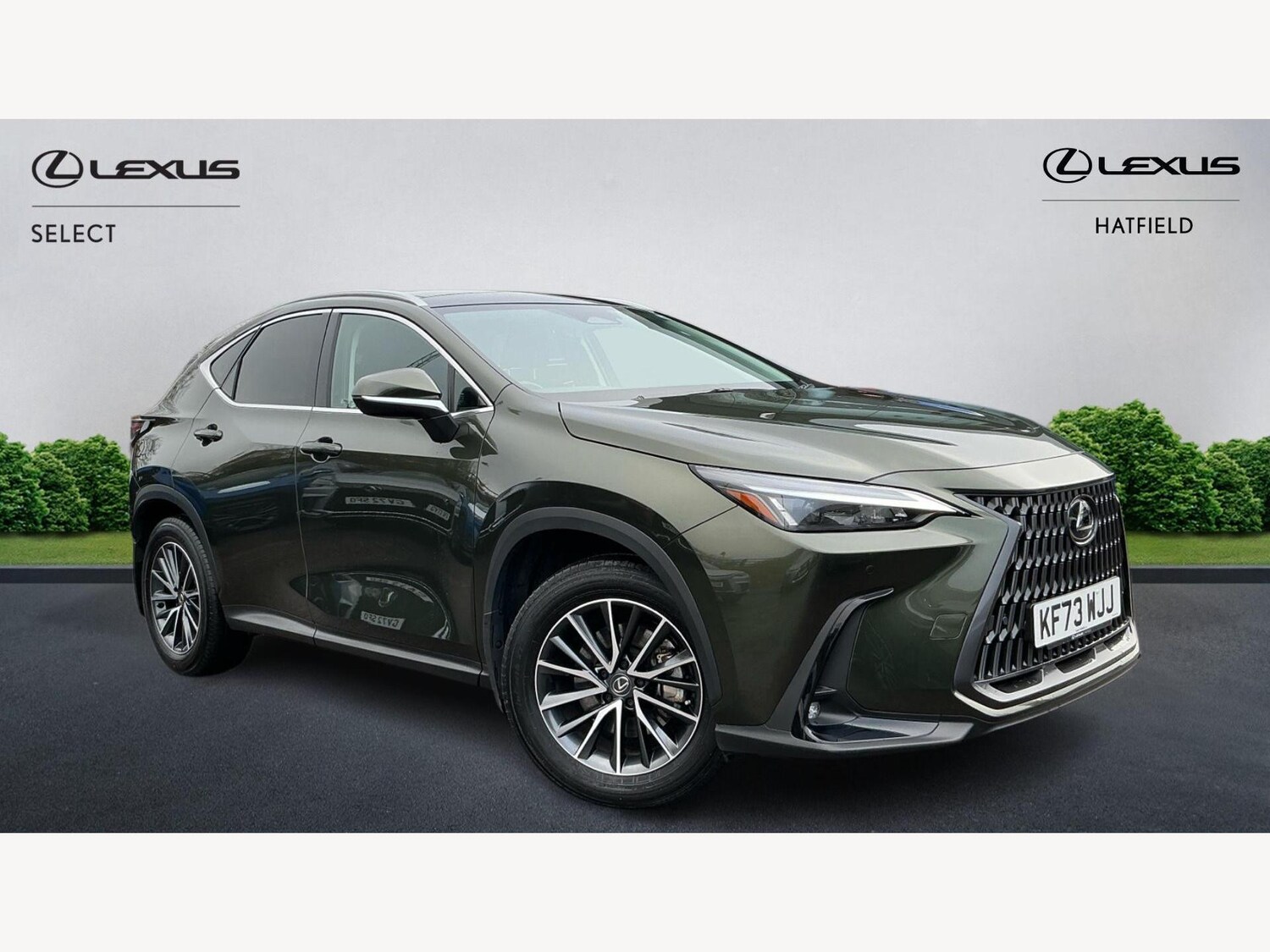 Used Lexus NX 2024 for sale - 77376957: Photo 1