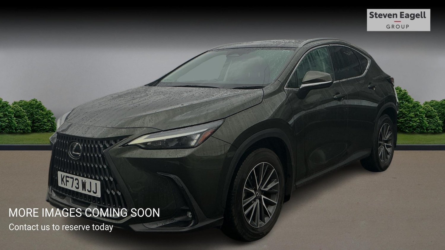 Used Lexus NX 2024 for sale - 77376957: Photo 3