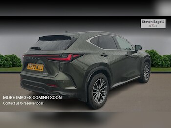 Used Lexus NX 2024 for sale - 77376957: Photo