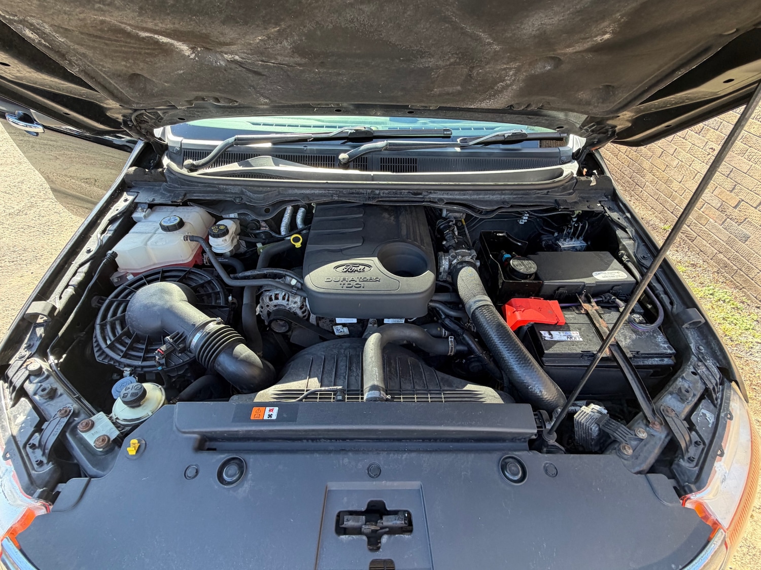 Used Ford Ranger 2014 for sale - 77932335: Photo 20