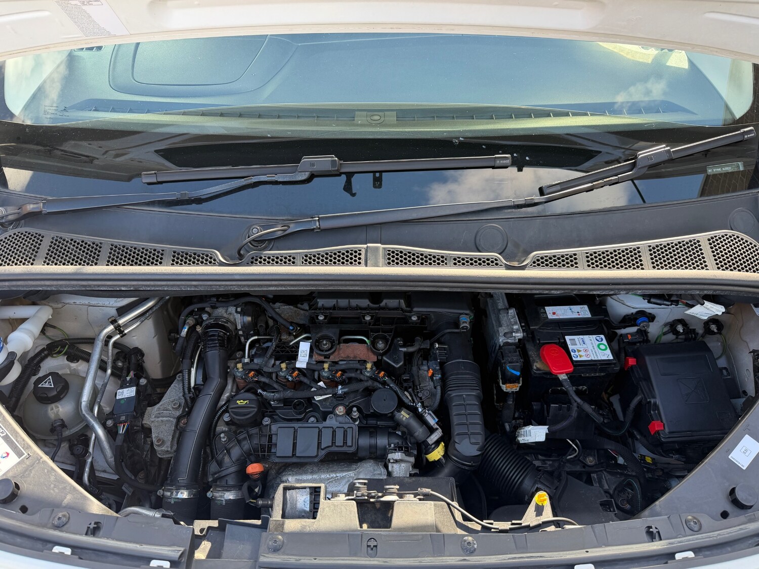 Used Citroen Berlingo 2021 for sale - 78055784: Photo 20