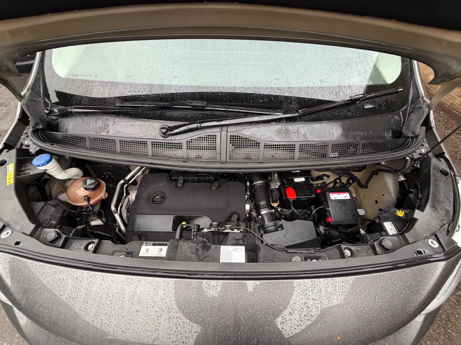 Used Peugeot Expert 2017 for sale - 77607001: Photo 17