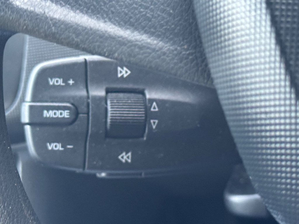 Used SEAT Ibiza 2009 for sale - 77499545: Photo 29