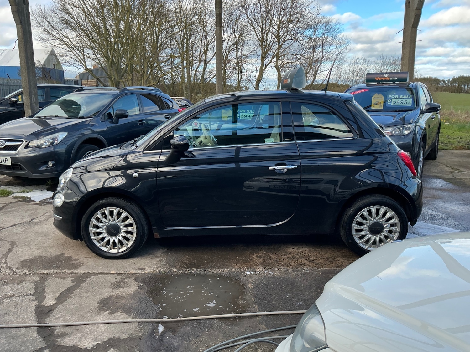 Used Fiat 500 2016 for sale - 77821400: Photo 4