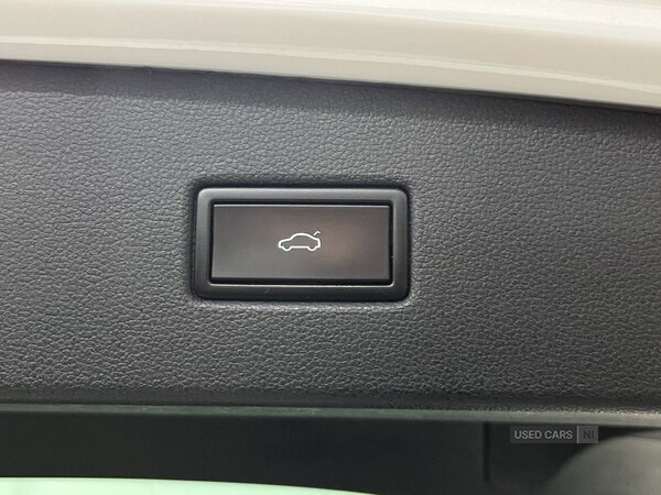 Used Volkswagen Tiguan 2019 for sale - 77672149: Photo 15