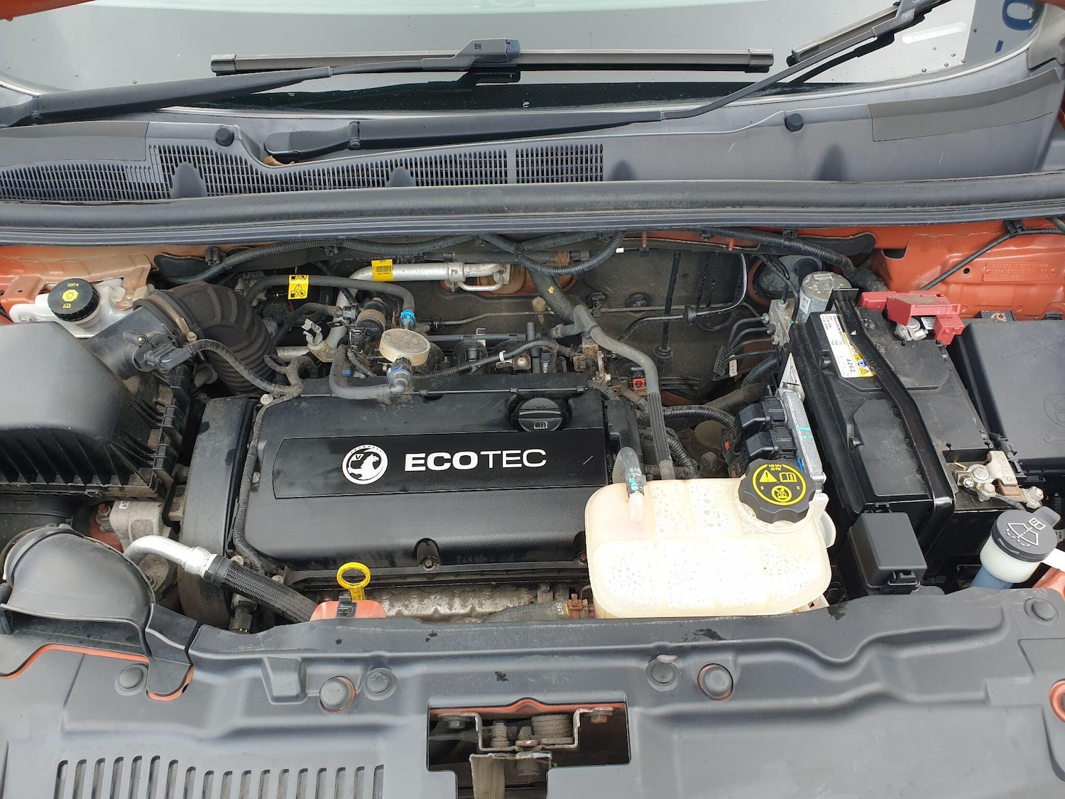 Vehicle 33