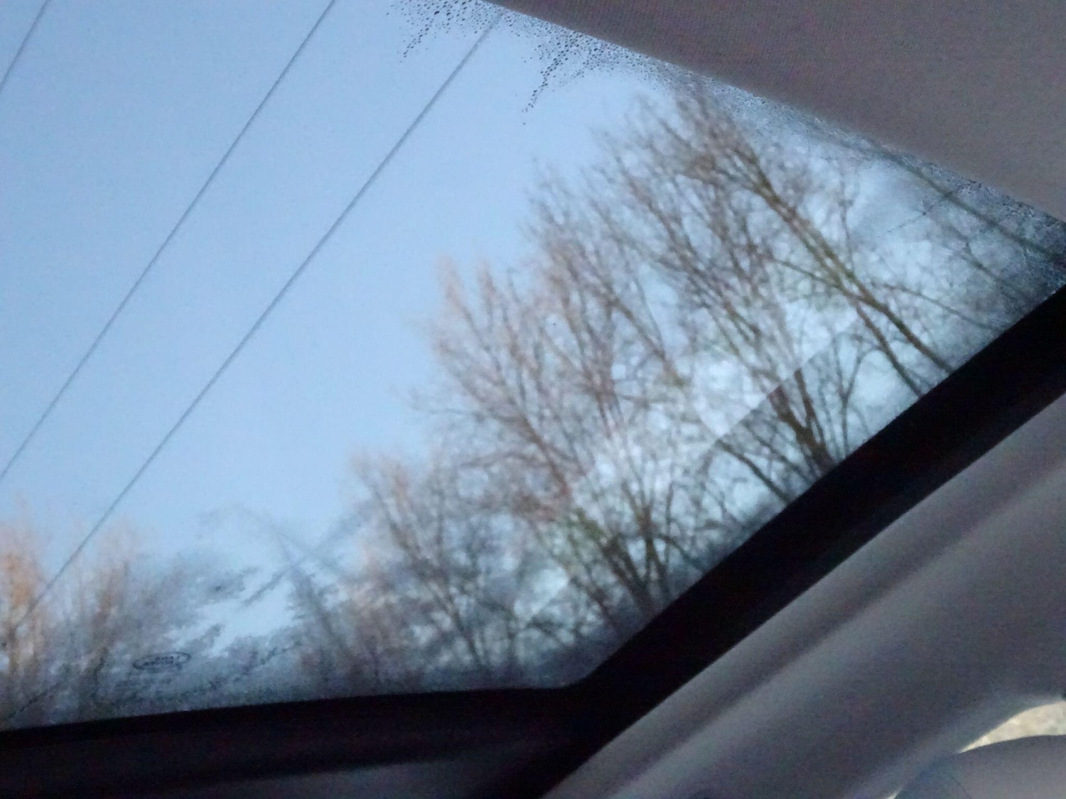 Used Land Rover Range Rover Evoque 2020 for sale - 77144503: Photo 41