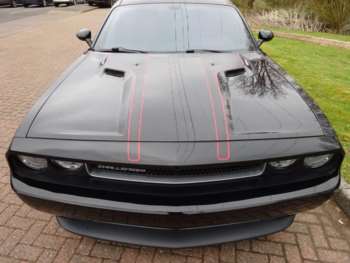 Used Dodge Challenger 2014 for sale - 74136002: Photo