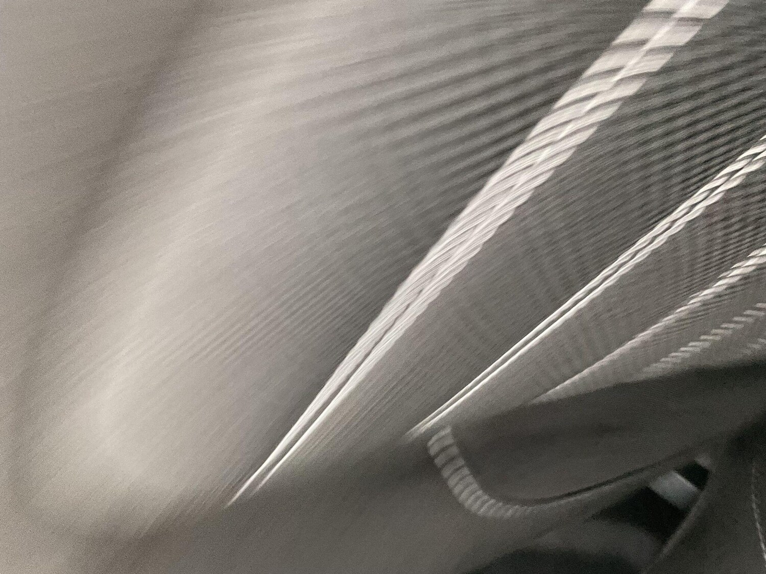 Used Ford Galaxy 2023 for sale - 77658416: Photo 37