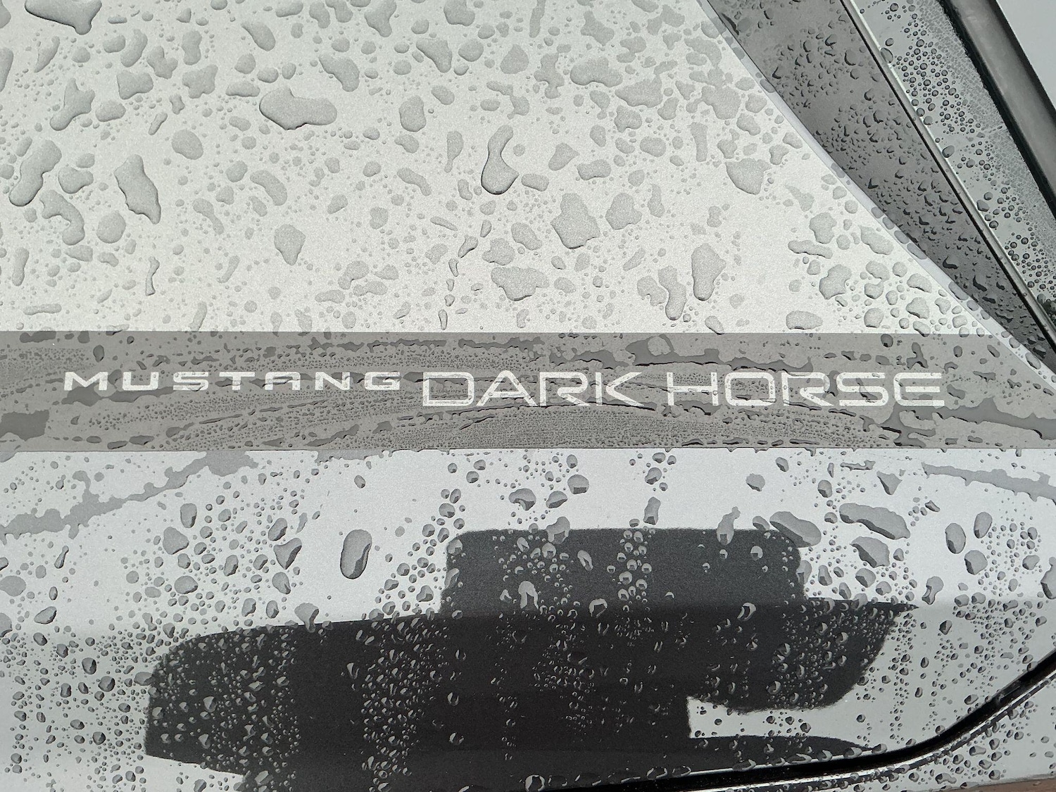 Used Ford Mustang 2025 for sale - 77958595: Photo 31