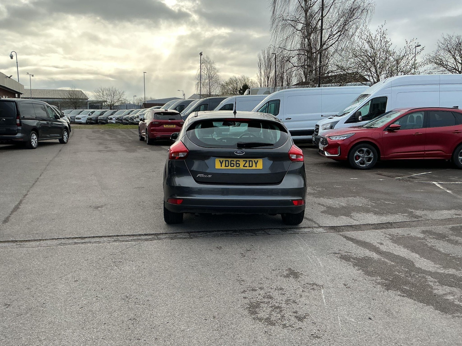 Used Ford Focus for sale - 78136051: Photo 8