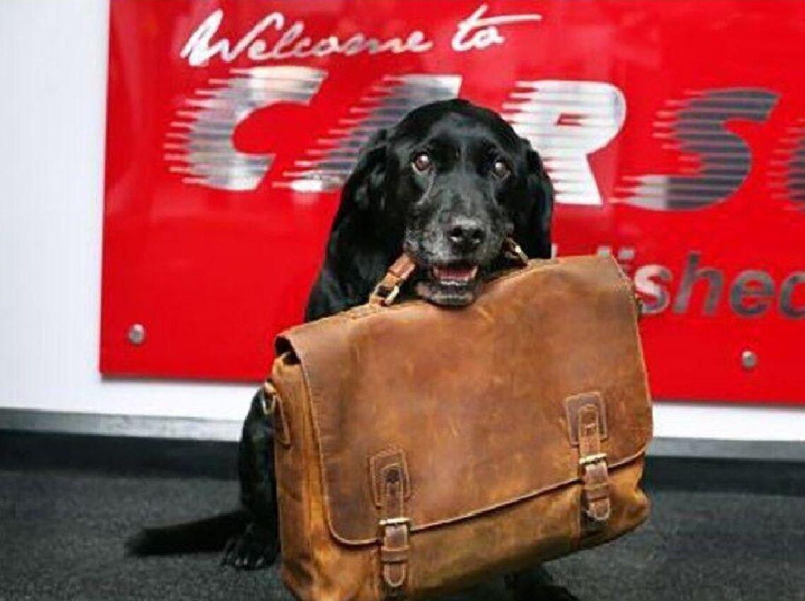 Used Vauxhall Astra 2018 for sale - 77411603: Photo 10