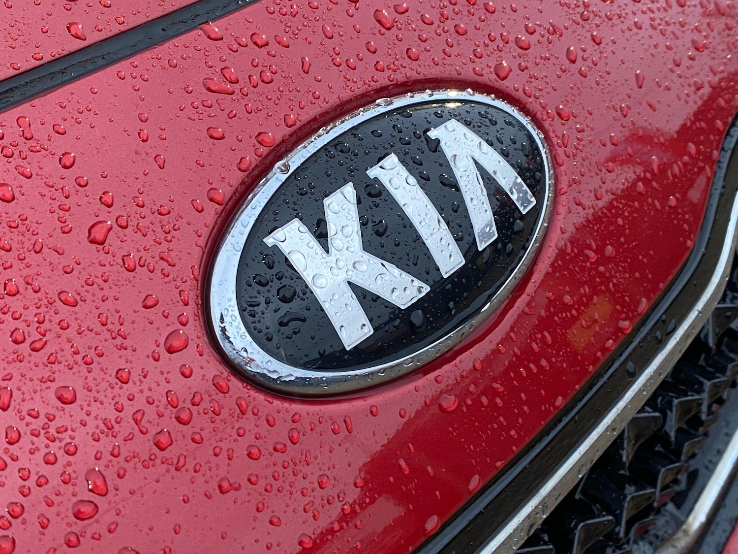 Used Kia Sportage 2018 for sale - 77156049: Photo 11