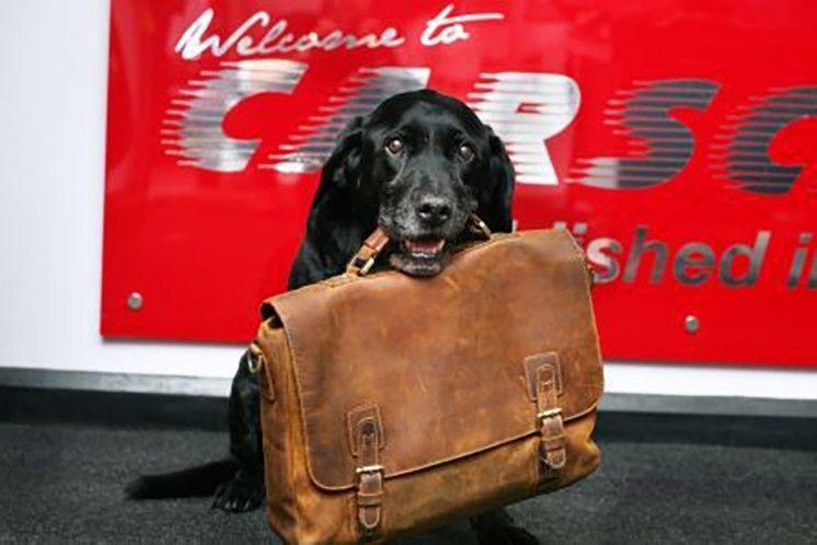 Used Volkswagen Polo 2014 for sale - 76714432: Photo 4