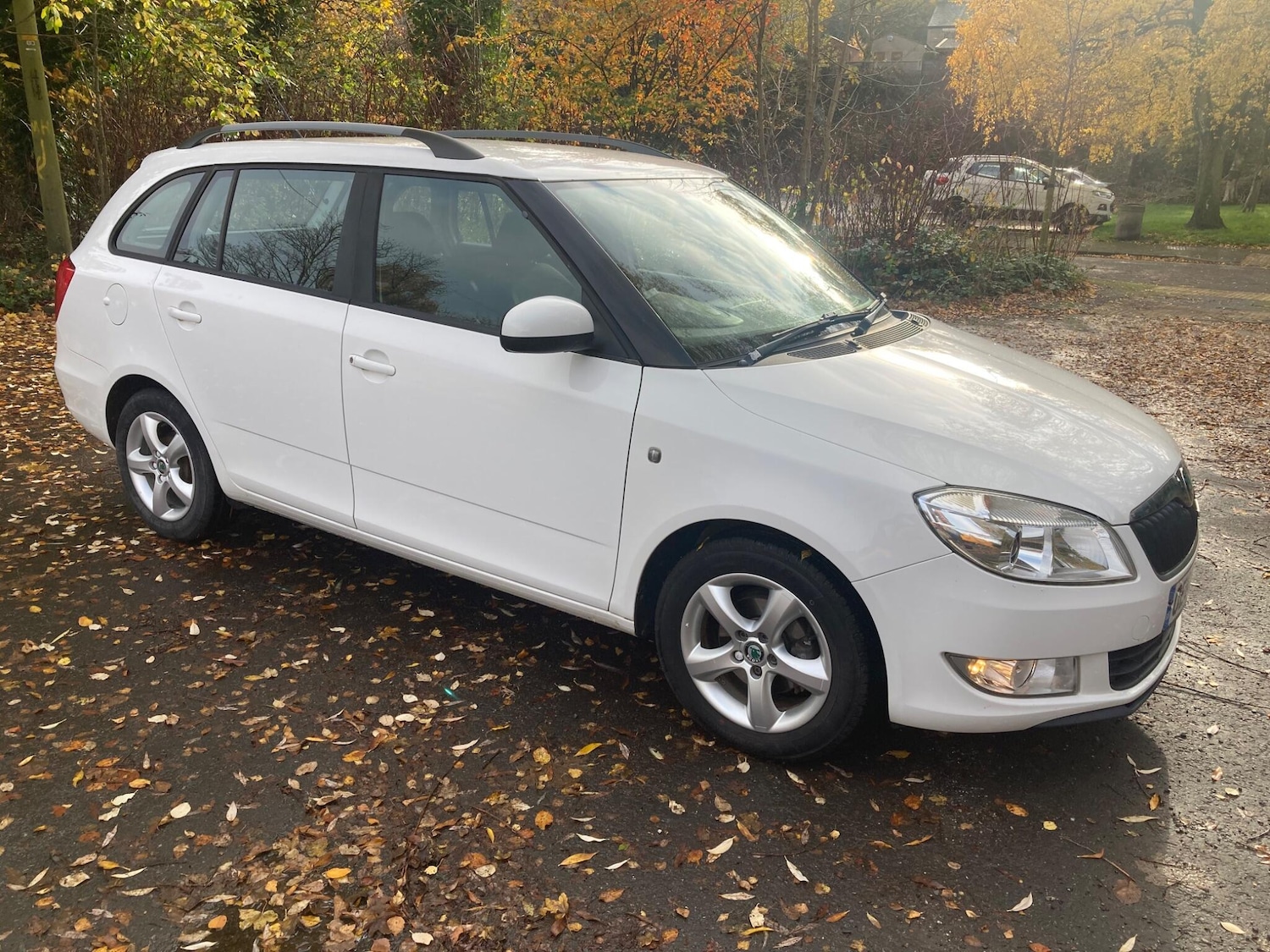 Used Skoda Fabia 2011 for sale - 76499739: Photo 1