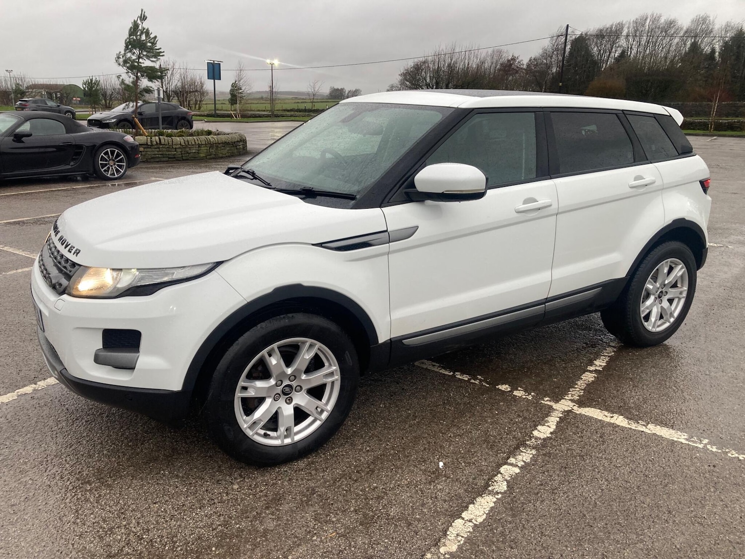 Used Land Rover Range Rover Evoque for sale - 77683913: Photo 7