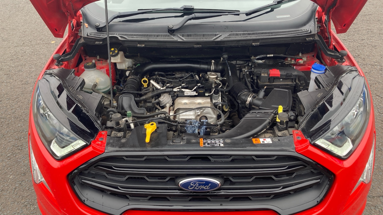 Used Ford Ecosport 2019 for sale - 76274405: Photo 8