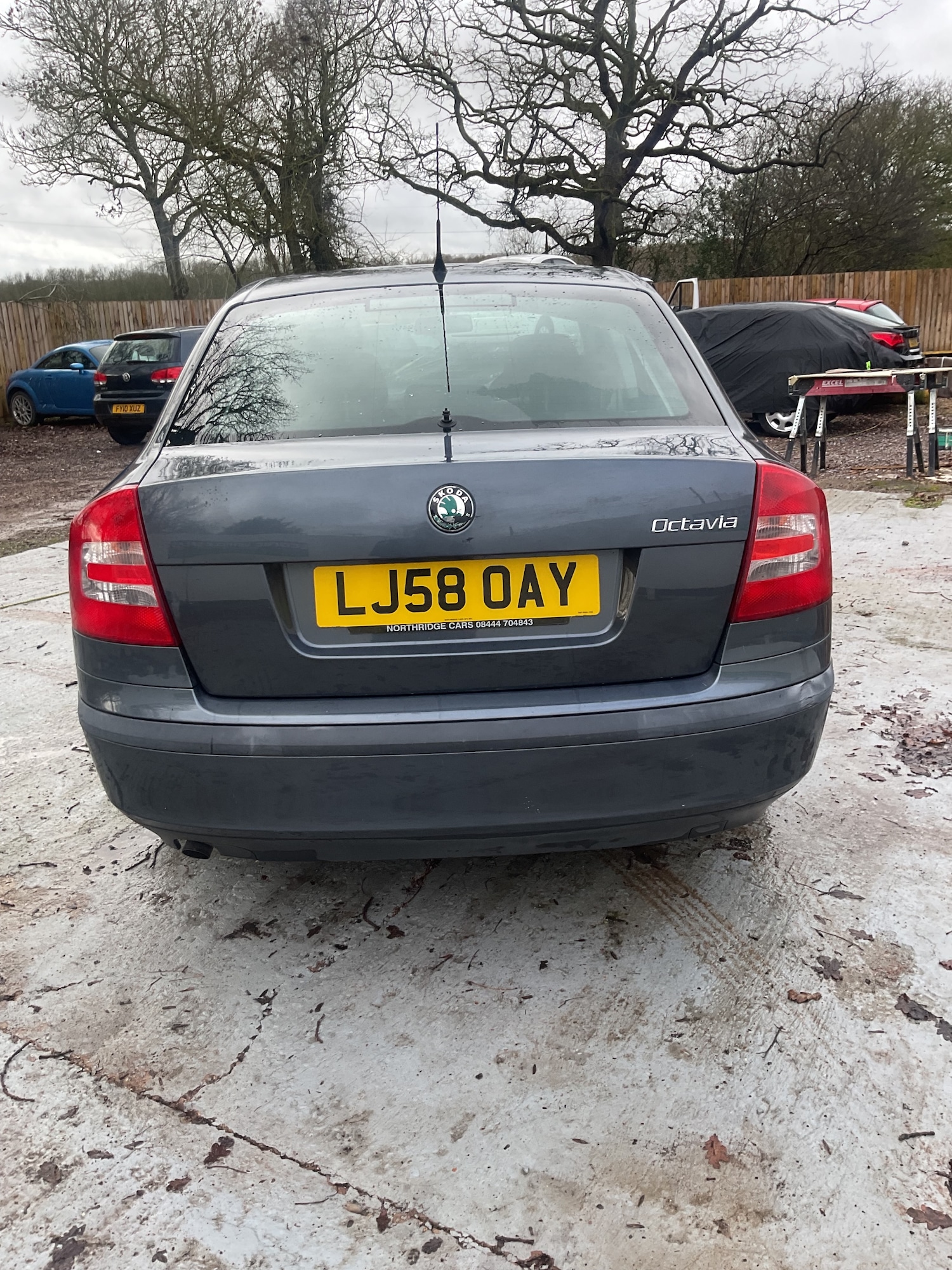 Used Skoda Octavia 2008 for sale - 77555264: Photo 4