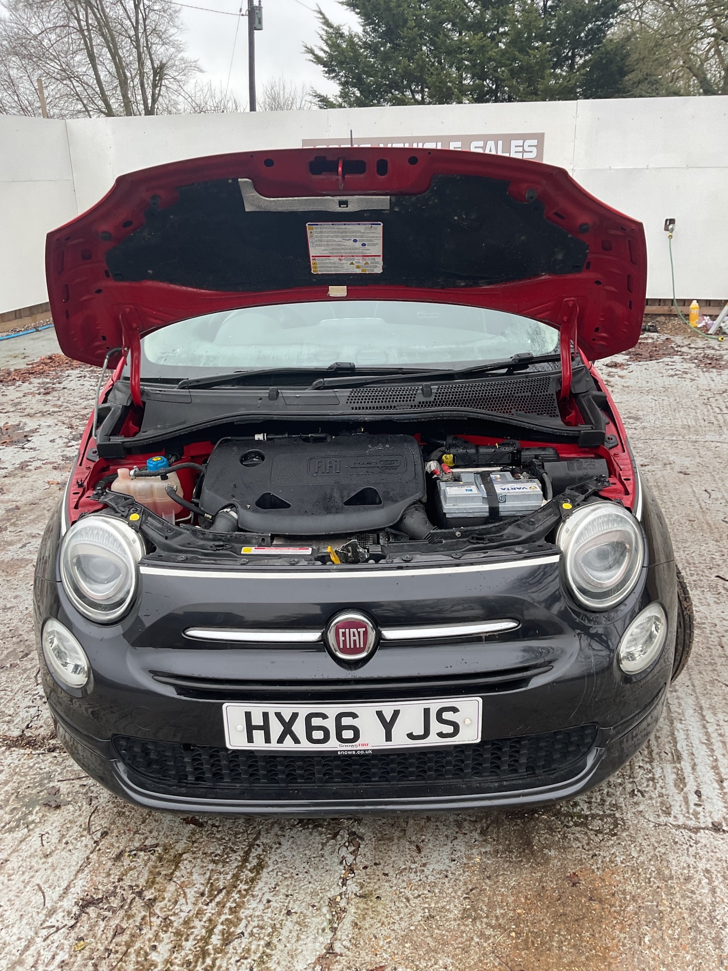 Used Fiat 500 2016 for sale - 77555132: Photo 9