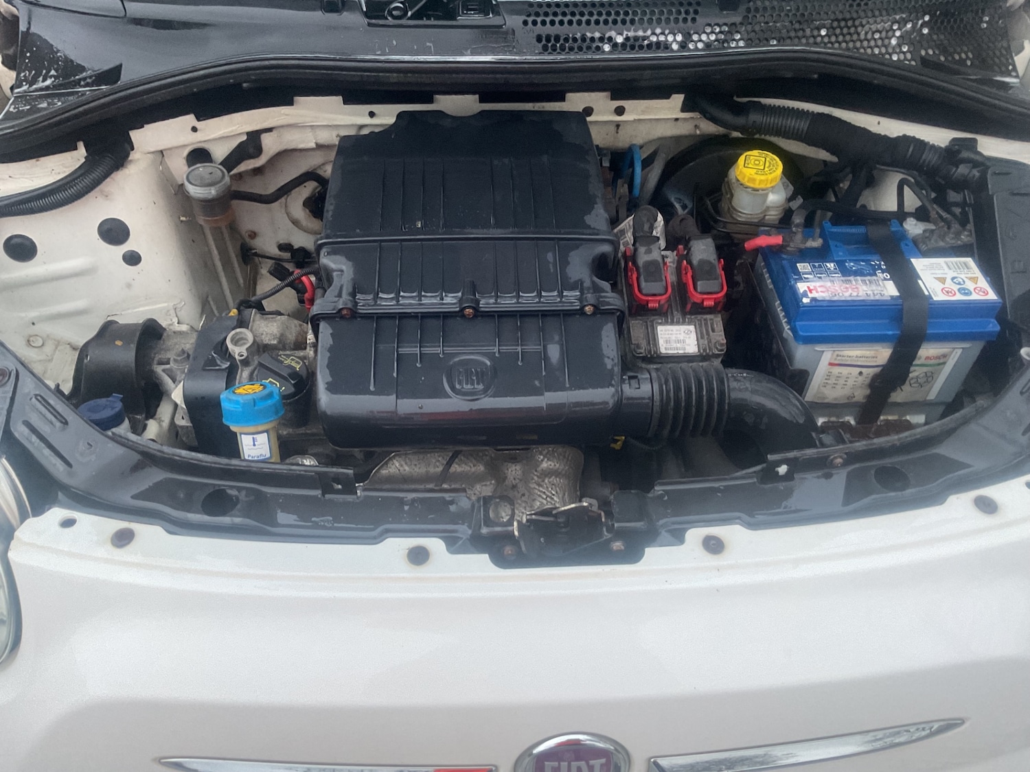 Used Fiat 500 2009 for sale - 77644014: Photo 12