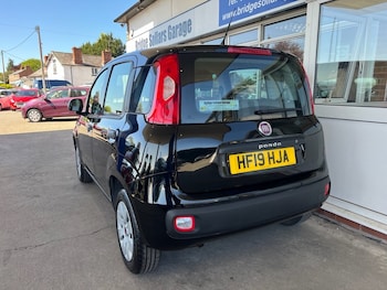 Used Fiat Panda 2019 for sale - 78413816: Photo