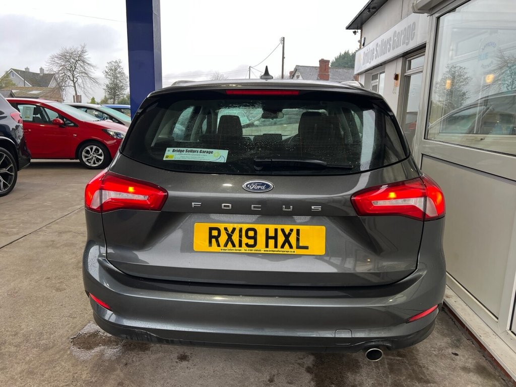 Used Ford Focus 2025 for sale - 77212251: Photo 4