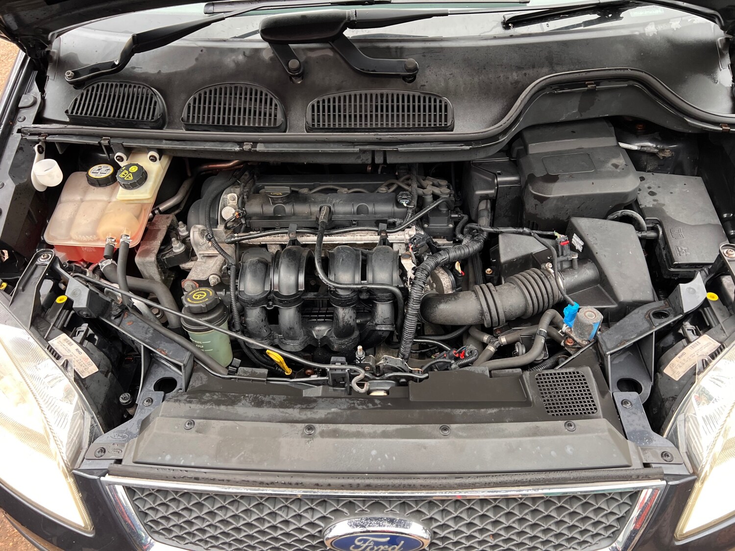 Used Ford Focus C-Max 2006 for sale - 77792674: Photo 44