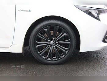 Used Toyota Corolla 2019 for sale - 76338007: Photo