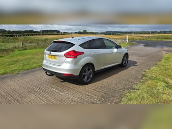 Used Ford Focus 2015 for sale - 79510451: Photo