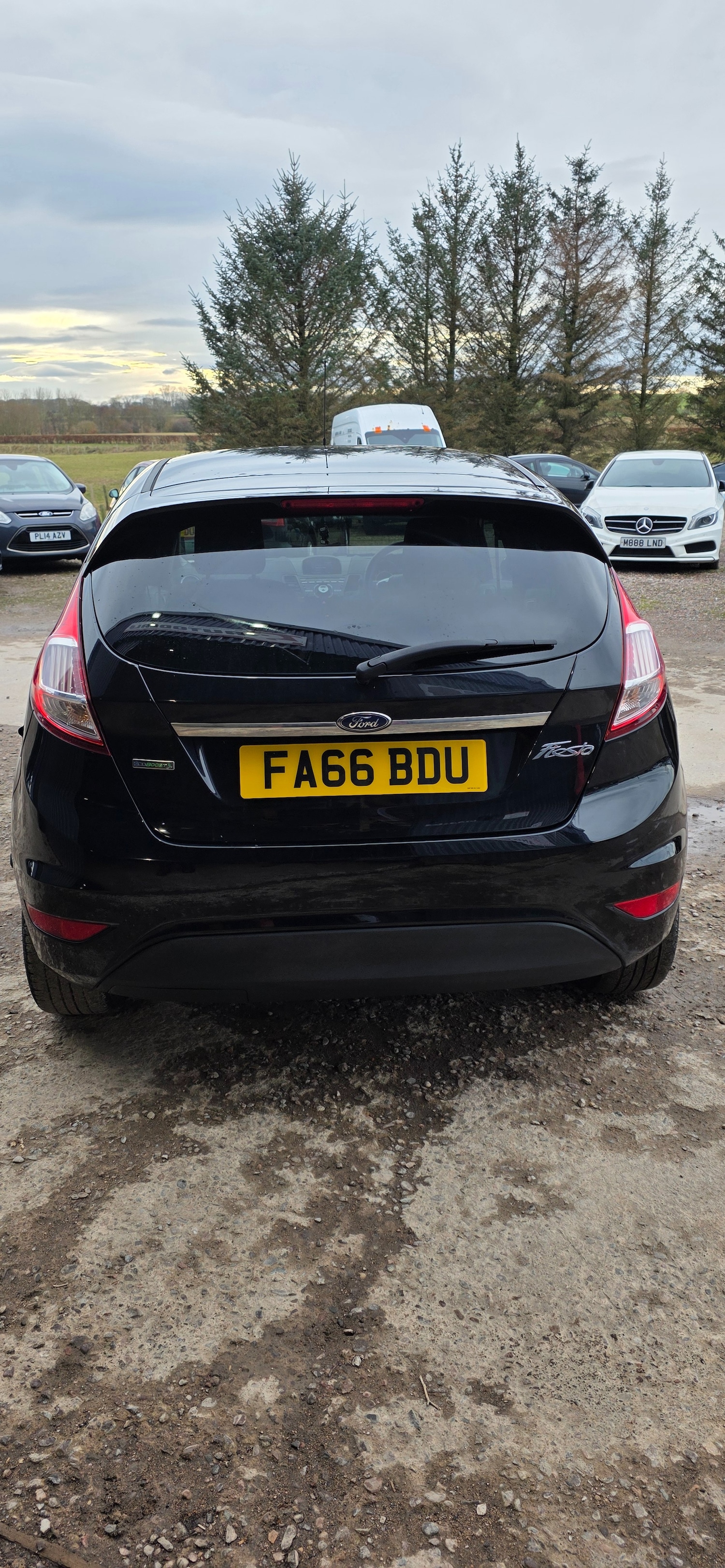 Used Ford Fiesta 2017 for sale - 77750463: Photo 14