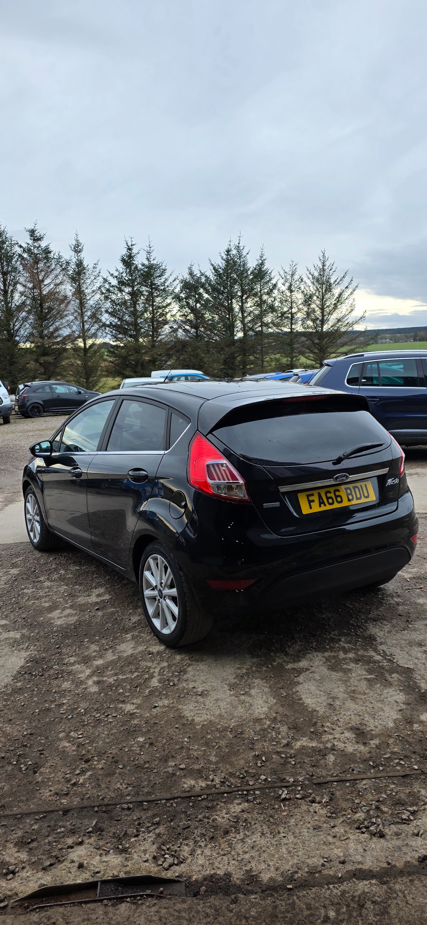 Used Ford Fiesta 2017 for sale - 77750463: Photo 3