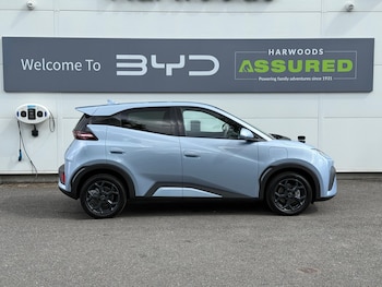 Used BYD Dolphin 2025 for sale - 75622982: Photo