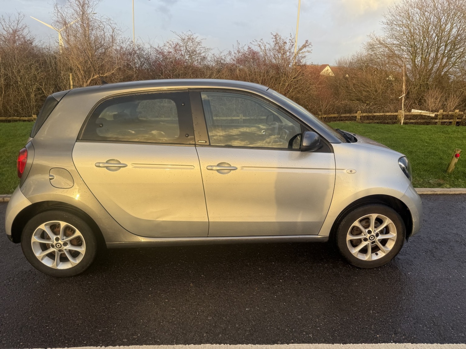 Used smart forfour 2016 for sale - 77173197: Photo 2