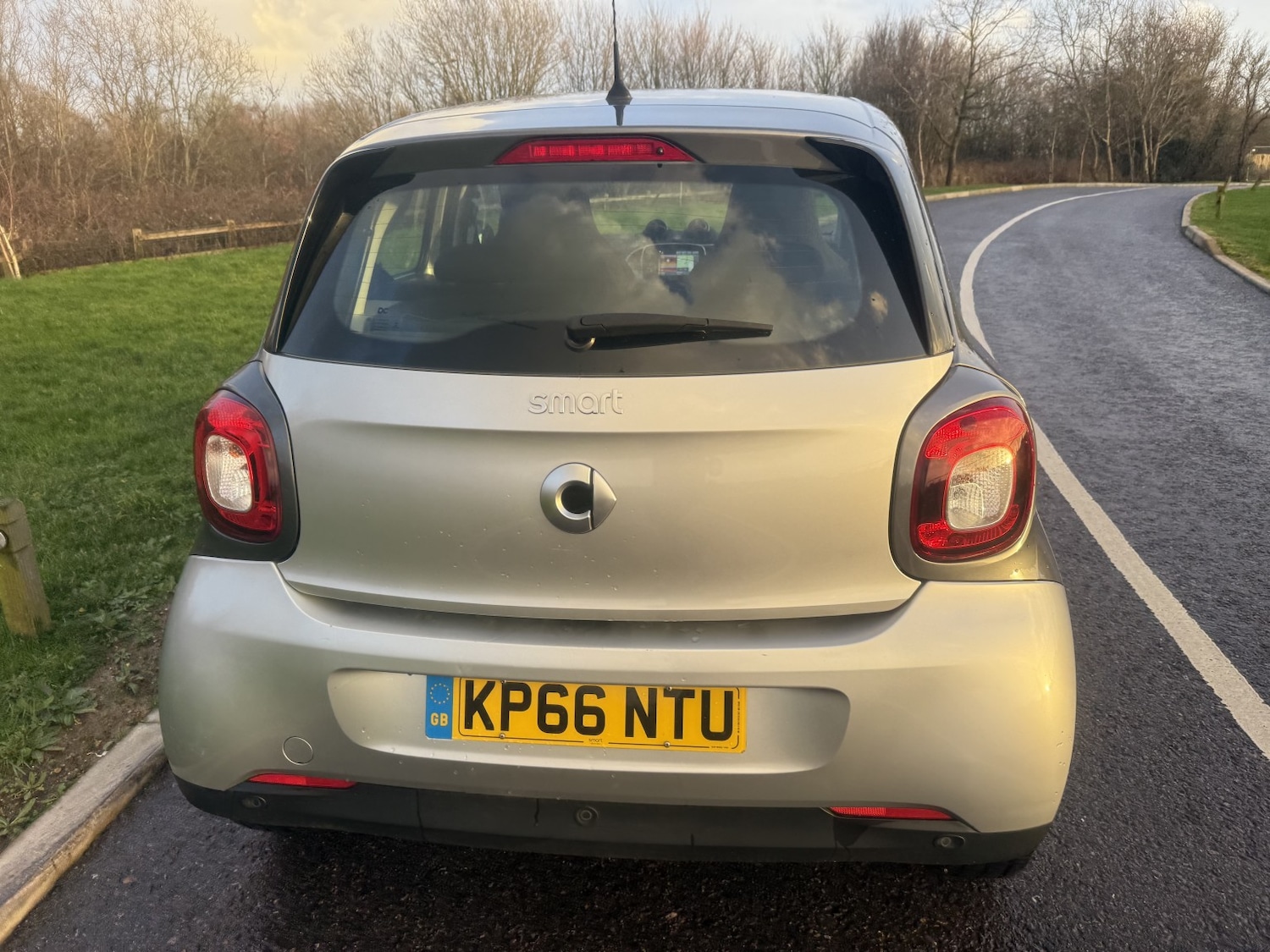 Used smart forfour 2016 for sale - 77173197: Photo 4