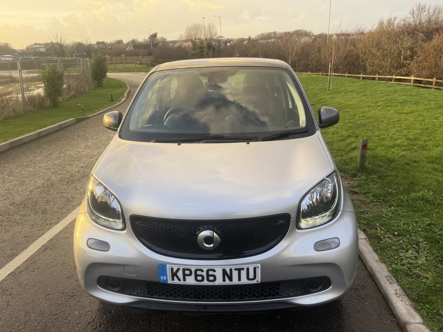 Used smart forfour 2016 for sale - 77173197: Photo 5