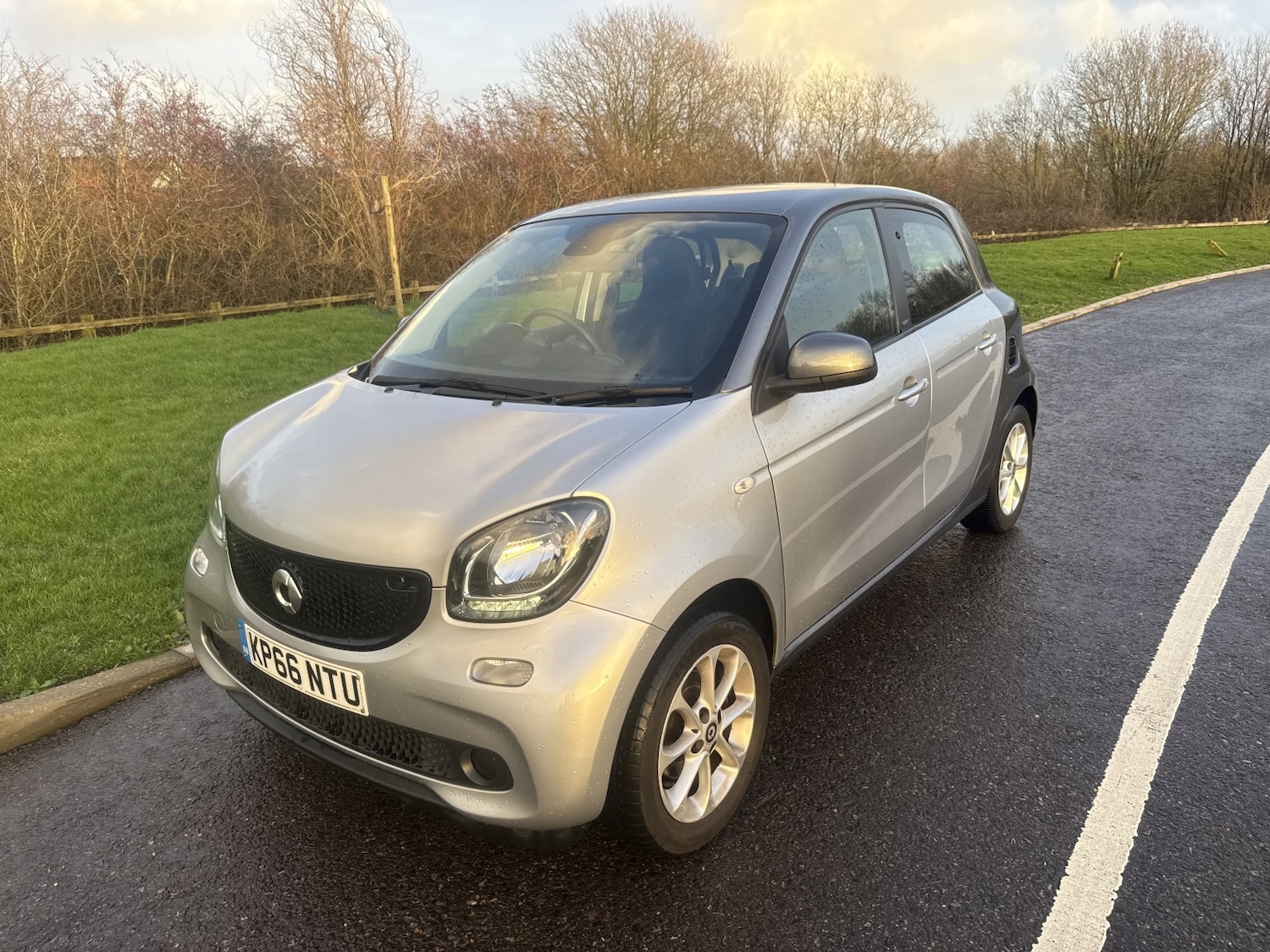 Used smart forfour 2016 for sale - 77173197: Photo 6
