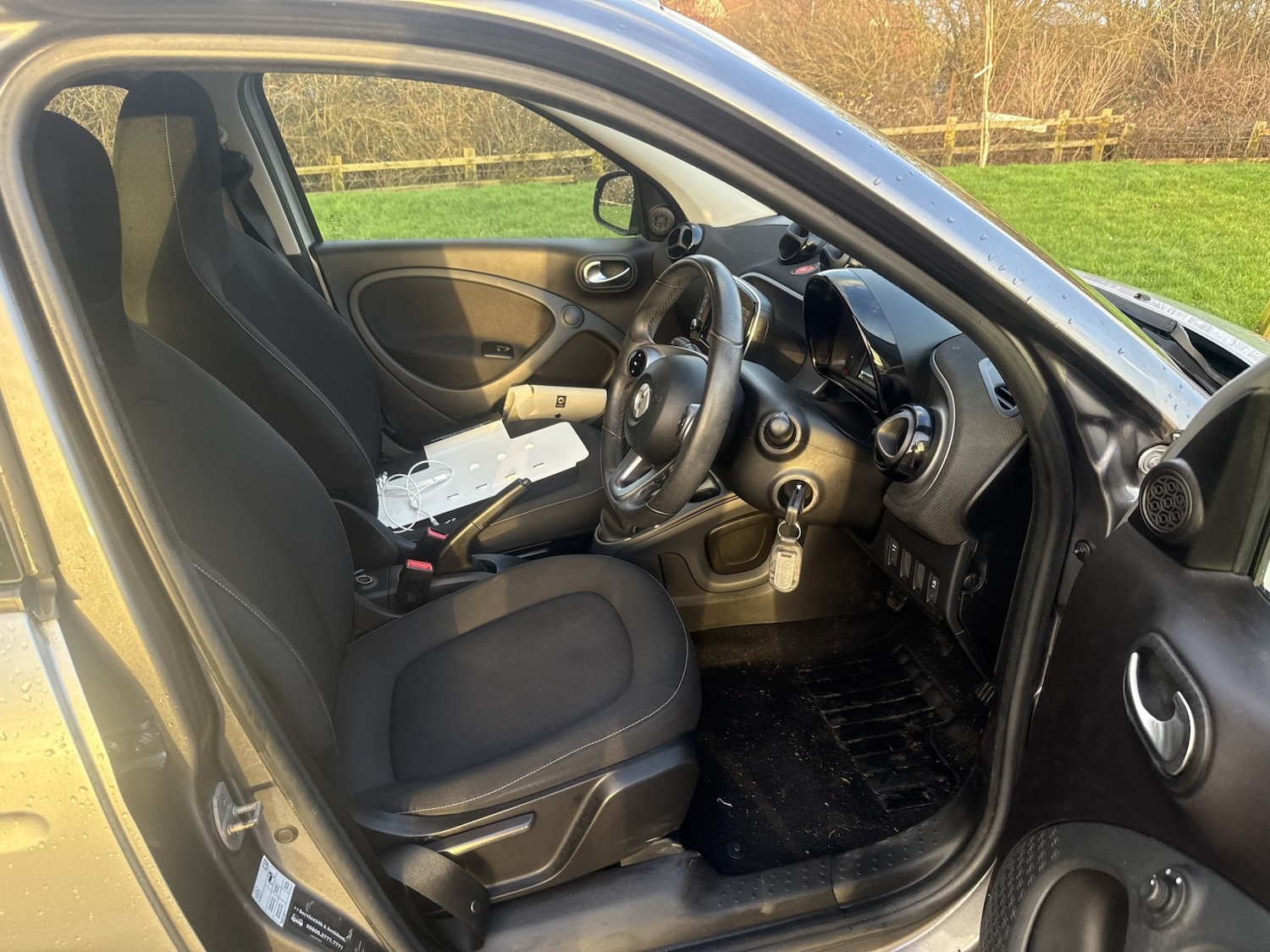 Used smart forfour 2016 for sale - 77173197: Photo 9