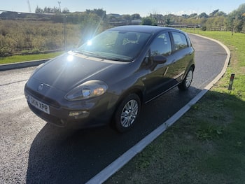 Used Fiat Punto 2014 for sale - 79779754: Photo