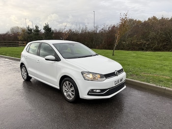 Used Volkswagen Polo 2016 for sale - 76536810: Photo