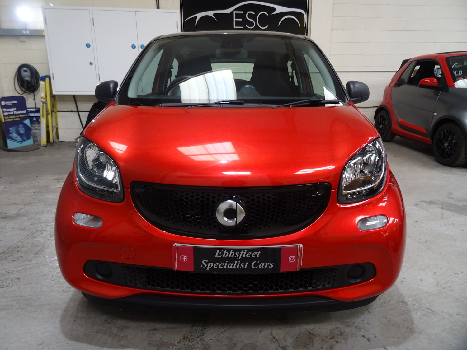 Used smart forfour 2017 for sale - 78025179: Photo 6