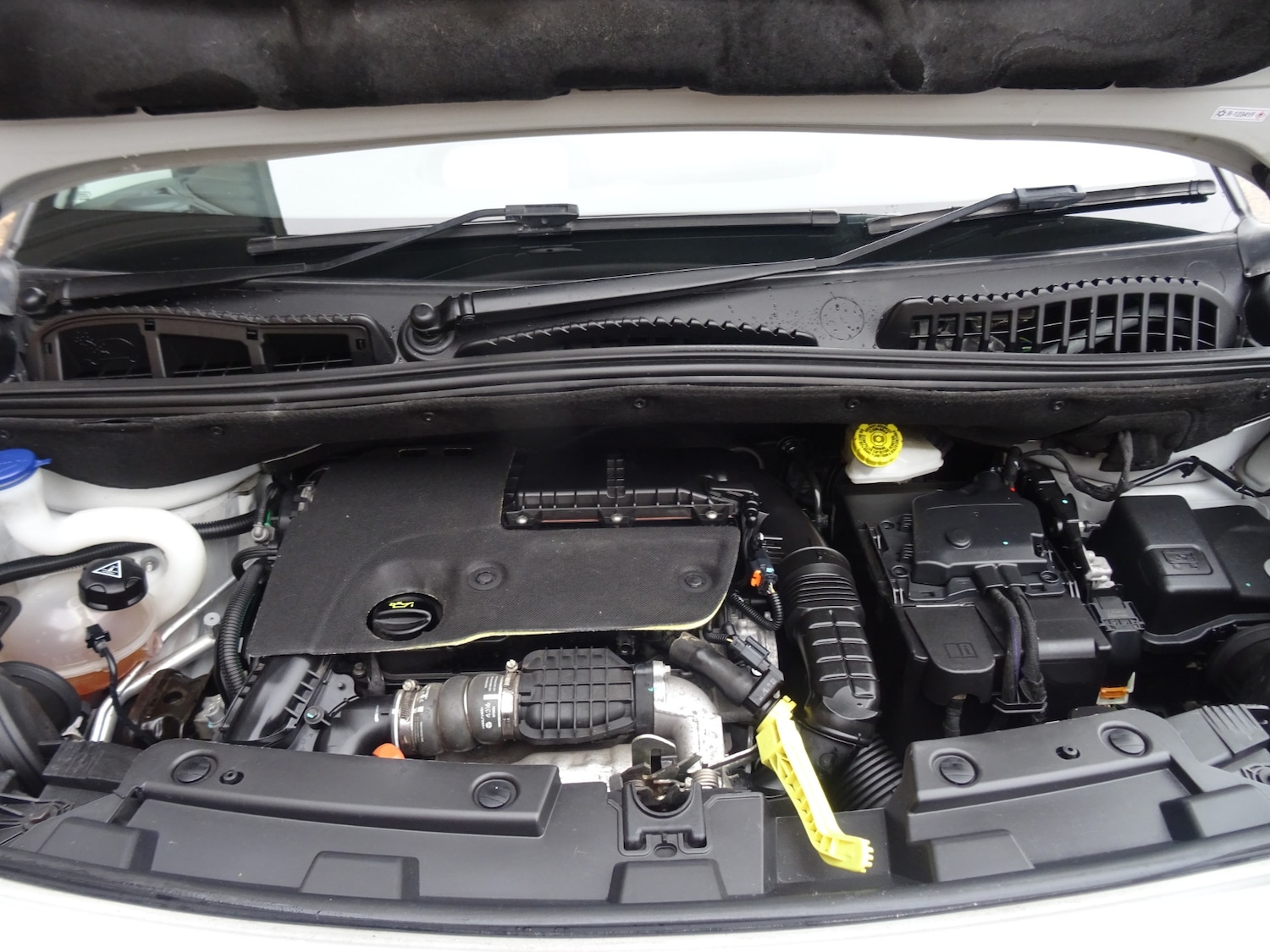 Used Citroen C3 Picasso 2017 for sale - 77225653: Photo 14