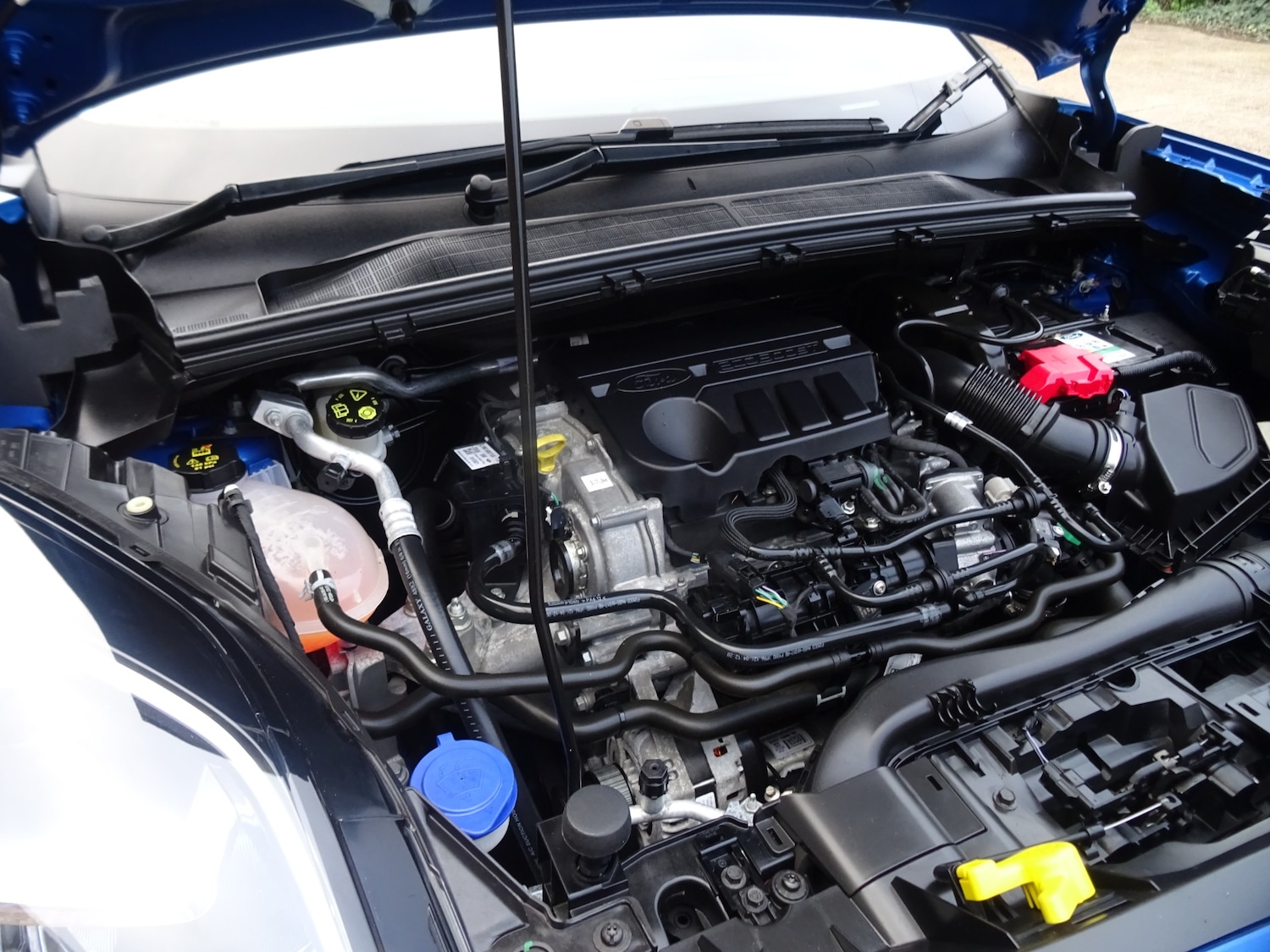 Used Ford Puma 2021 for sale - 77104098: Photo 48