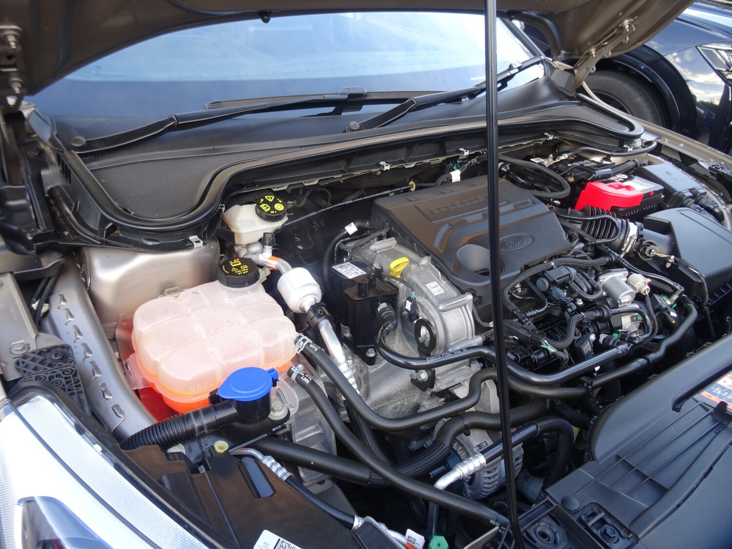 Used Ford Focus 2019 for sale - 77045996: Photo 51