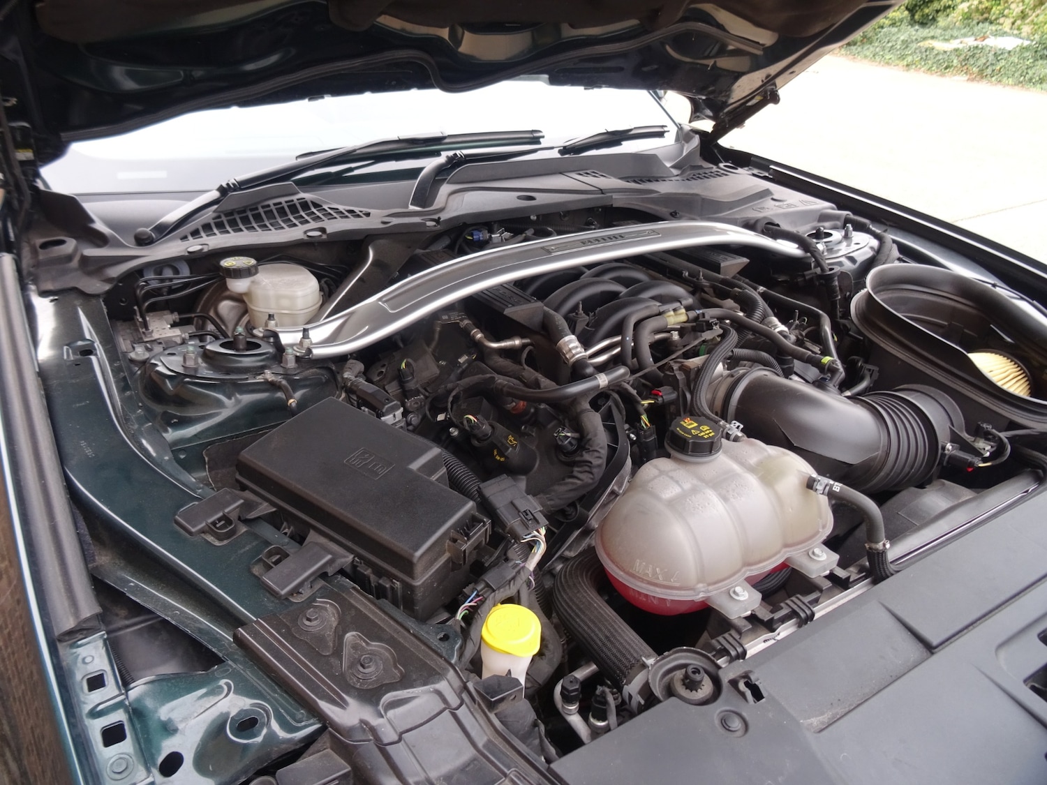 Used Ford Mustang 2019 for sale - 76312540: Photo 43