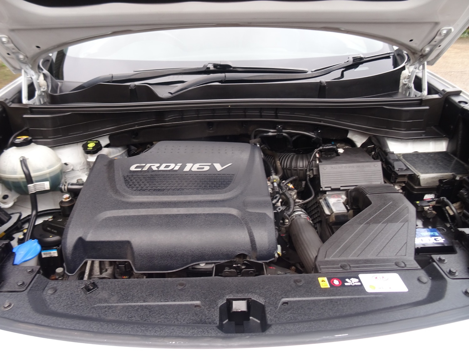 Used Kia Sportage 2016 for sale - 77515939: Photo 14