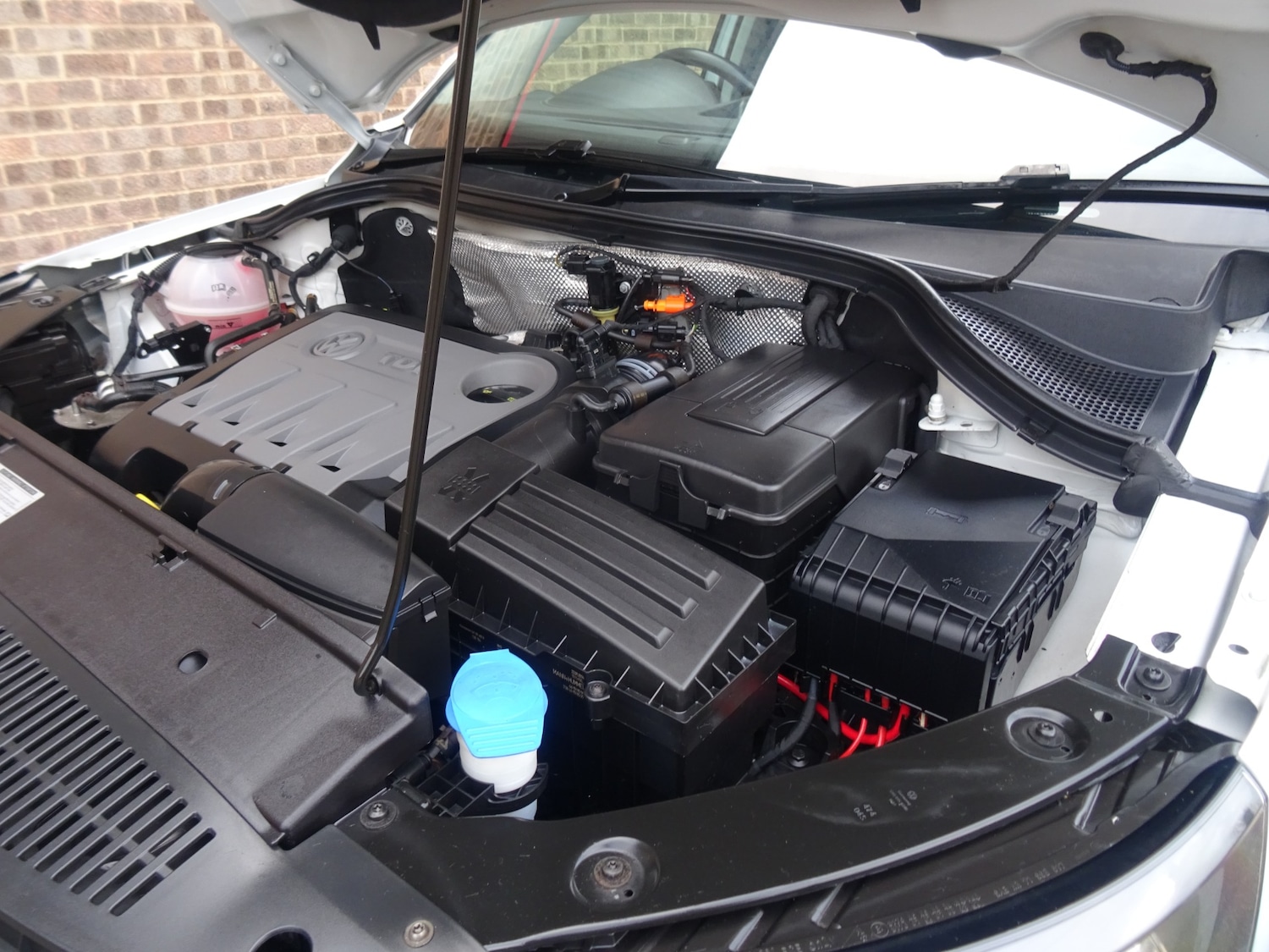 Used Volkswagen Tiguan 2014 for sale - 77248828: Photo 49