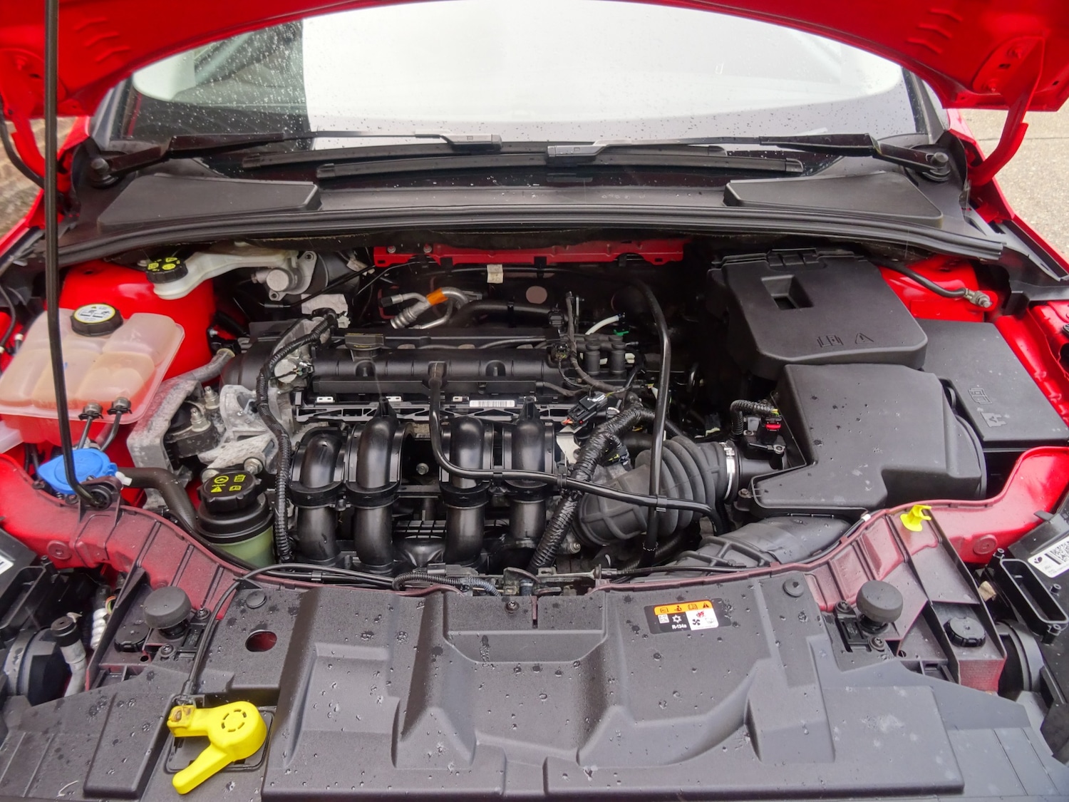 Used Ford Focus 2016 for sale - 76309627: Photo 14