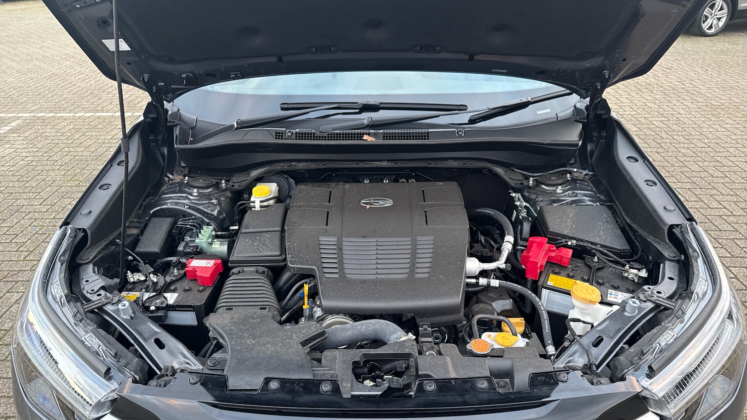 Used Subaru Forester for sale - 76547546: Photo 16