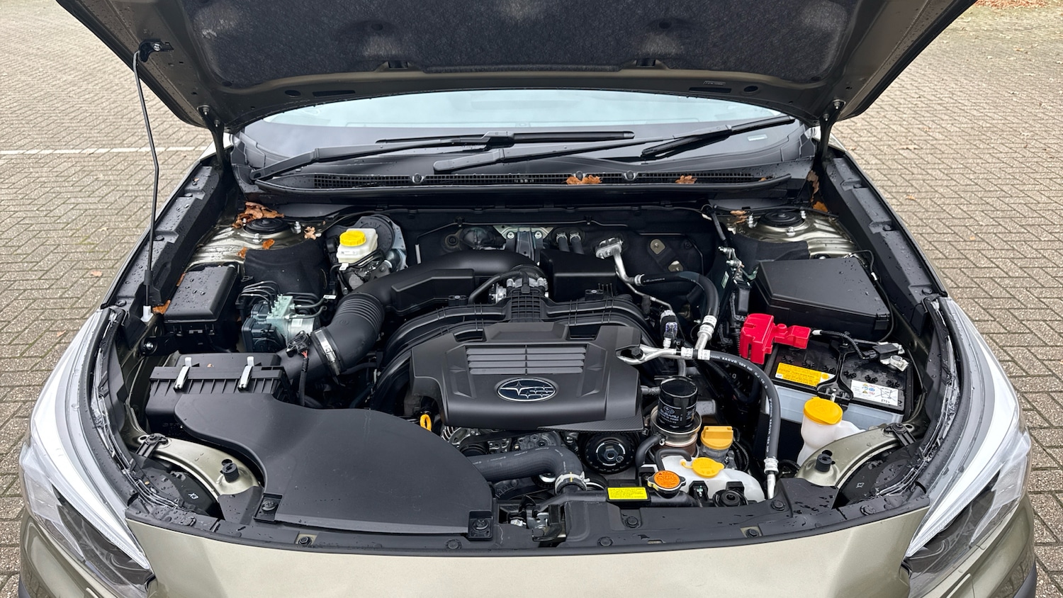 Used Subaru Outback for sale - 76497132: Photo 16