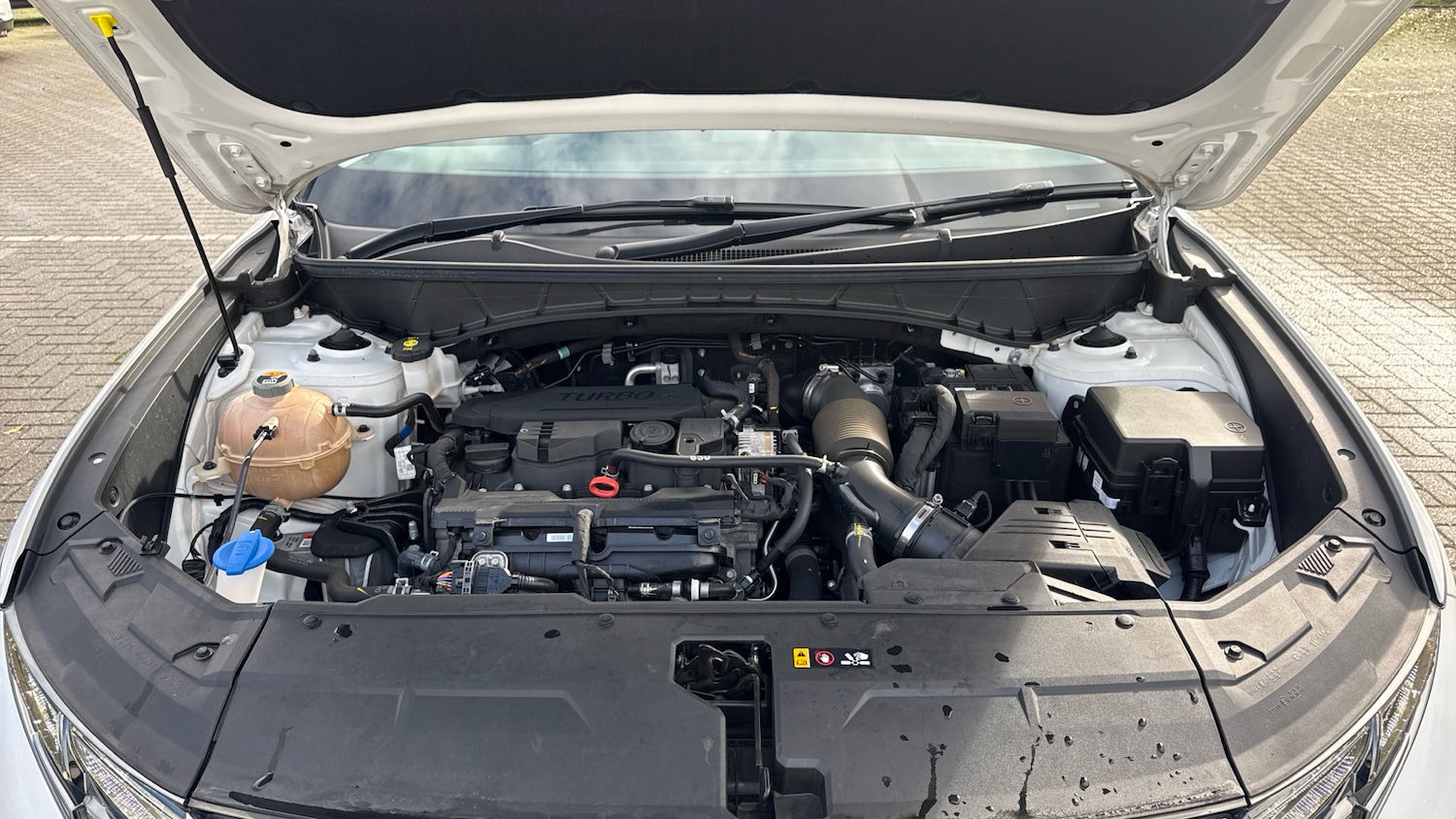 Used Hyundai TUCSON 2023 for sale - 76257882: Photo 16